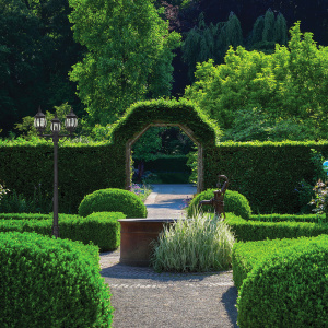 jclj2y6a0a22okhllgxo0jtefpow2n0h