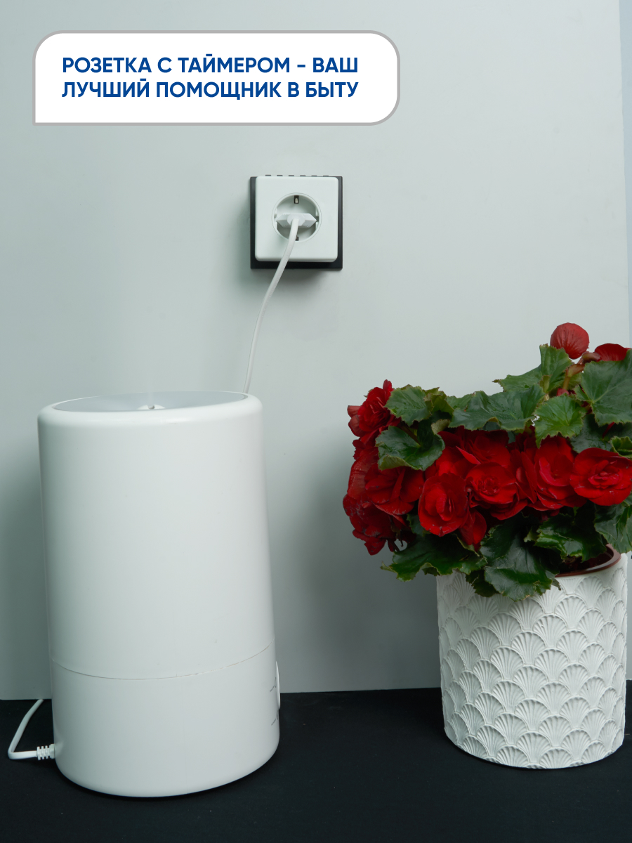 oq285f3s6vo2u1w8wmm2my0bydwoo9lb