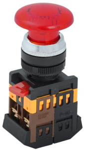 BBG20-AELA-K04_1