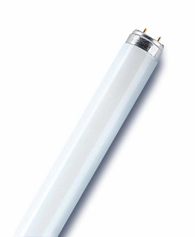 Лампа люминесцентная T8 G13 18Вт/765 (590мм) Osram-СМ (Россия)