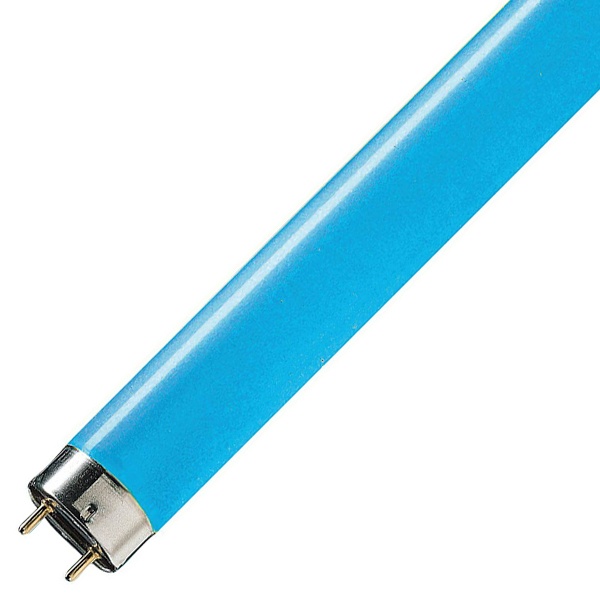 Лампа люминесцентная COLOR T8 G13 36Вт/67 (1200мм)  синяя Osram