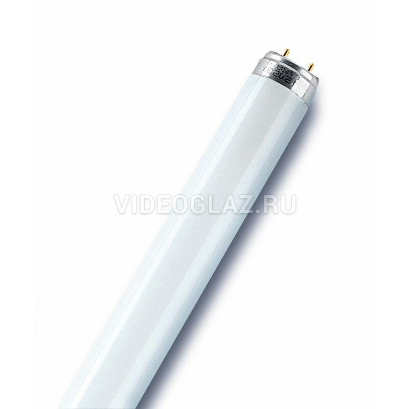 Лампа люминесцентная T8 G13 58Вт/765 (1500мм) Osram-СМ (Россия)