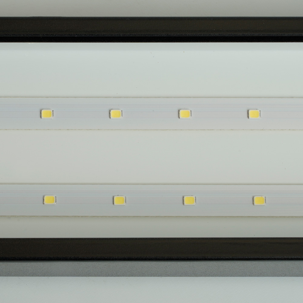 t351f6bvua8arn7lg4xcddsjt3n8yo2j