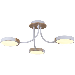 13202_0_3_03_svetil_nik_potolochnyy