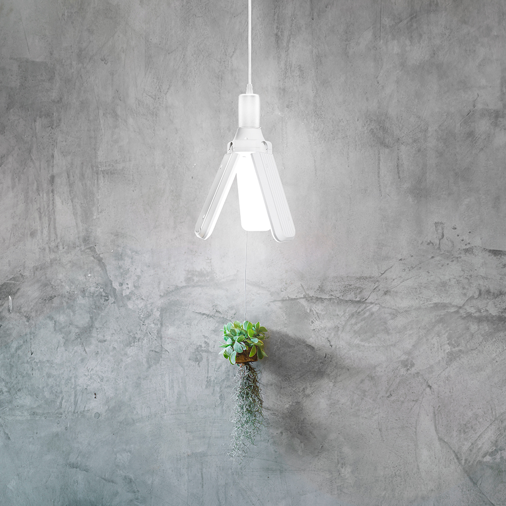 sinhjijoo2tbi6lkwxn42ozy66ror6w3