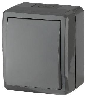 Переключатель 1-кл IP54 серый Эра (уп.16шт.) 11-1403-03 